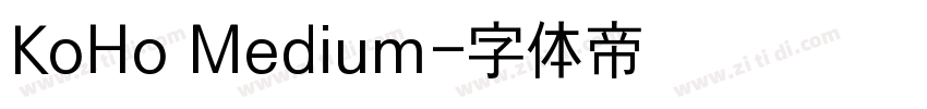 KoHo Medium字体转换